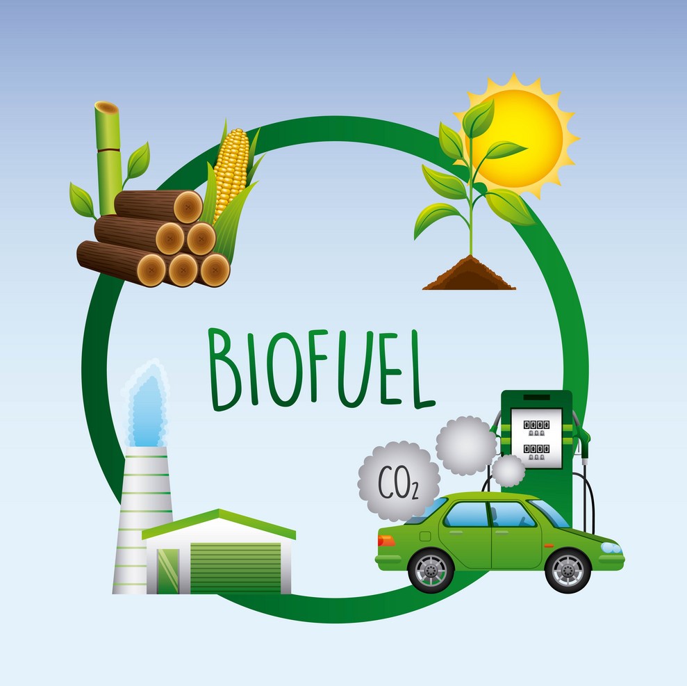 Bioalcohol as green energy – A review