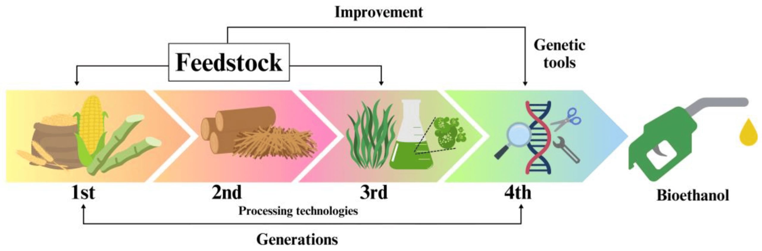 Considerations on the worldwide use of bioethanol as a contribution for sustainability